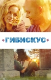 Гибискус