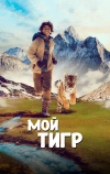 Мой тигр