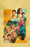 Белый лотос